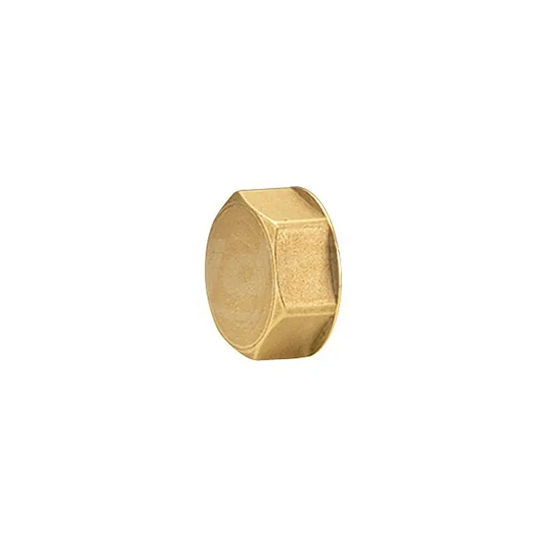 GIACOMINI Tappo Terminale Ottone Filettato Femmina 26/19 mm, Guarnizione di Tenuta - R594Y003