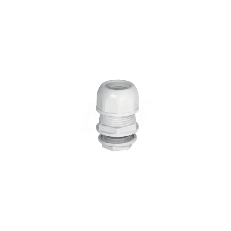 RAGG20 RACC Raccordo guaina spiralata GAS 3/4 GRI IP64 INSB11019