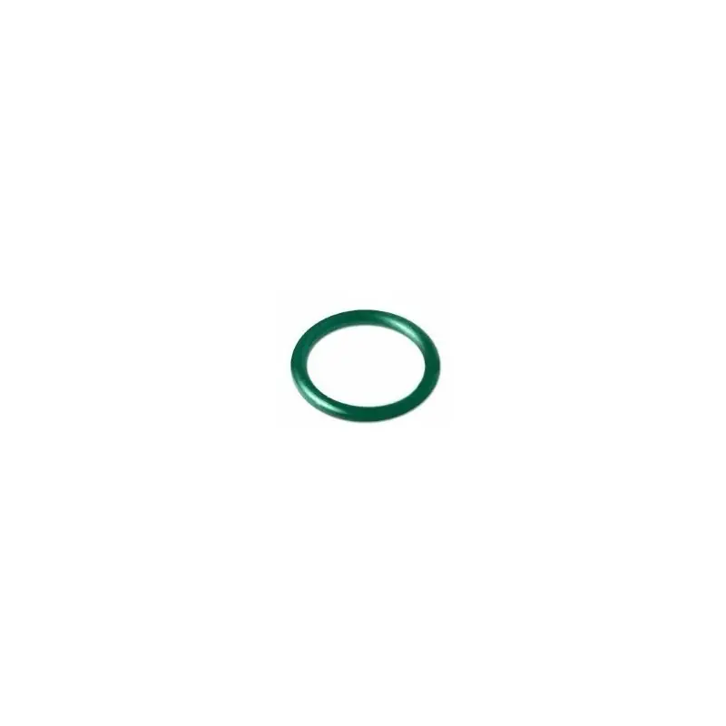 O-RING IN FKM VERDE ø54mm 11505440V
