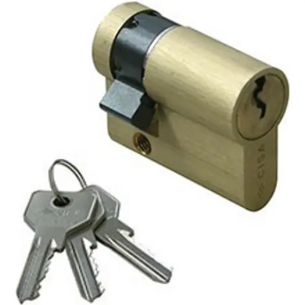 CISA MEZZO CILINDRO A PROFILO EUROPEO C2000 CAMMA REGOLABILE MM50/10