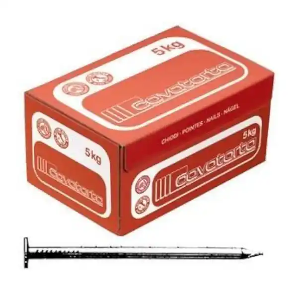 CAVATORTA CHIODI ACCIAIO TESTA PIANA SCATOLA ROSSA N.23 D.MM6,0X160 KG5