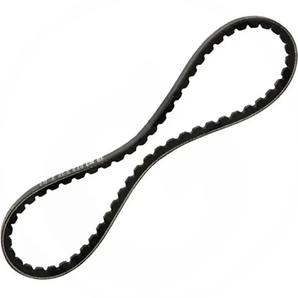 CINGHIA DENTATA SPBX