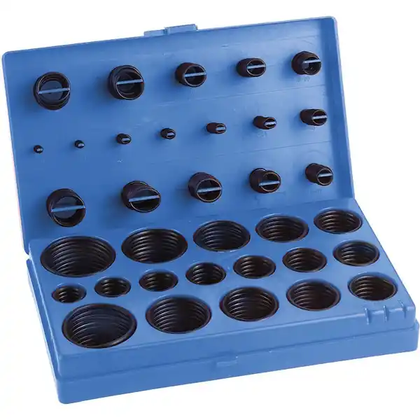 FERVI ASSORTIMENTO DI O-RING METRICI TOTALE PZ419