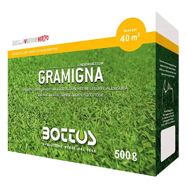 BOTTOS SEMENTI SELEZIONATE DI GRAMIGNA COMUNE SCATOLA DA KG0,5