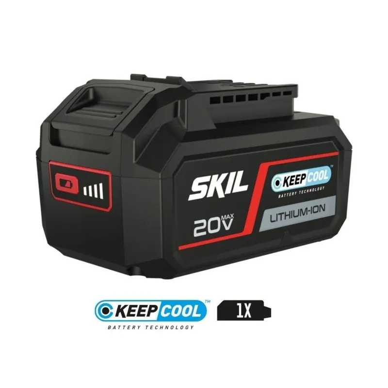 Batteria Skil PWRCORE20 da 20Volt - 5Ah 3105AA