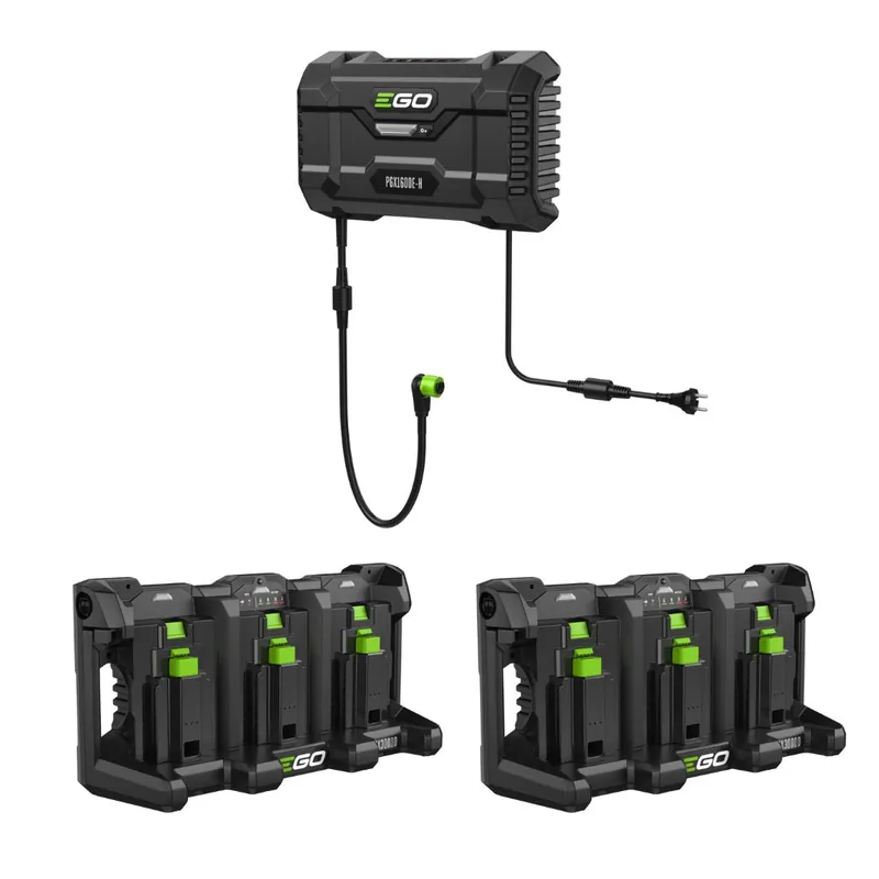 Sistema di Ricarica Pro X - Ego Power Plus PGX1601E-H - Caricabatterie + 2 Dock PGX3000D