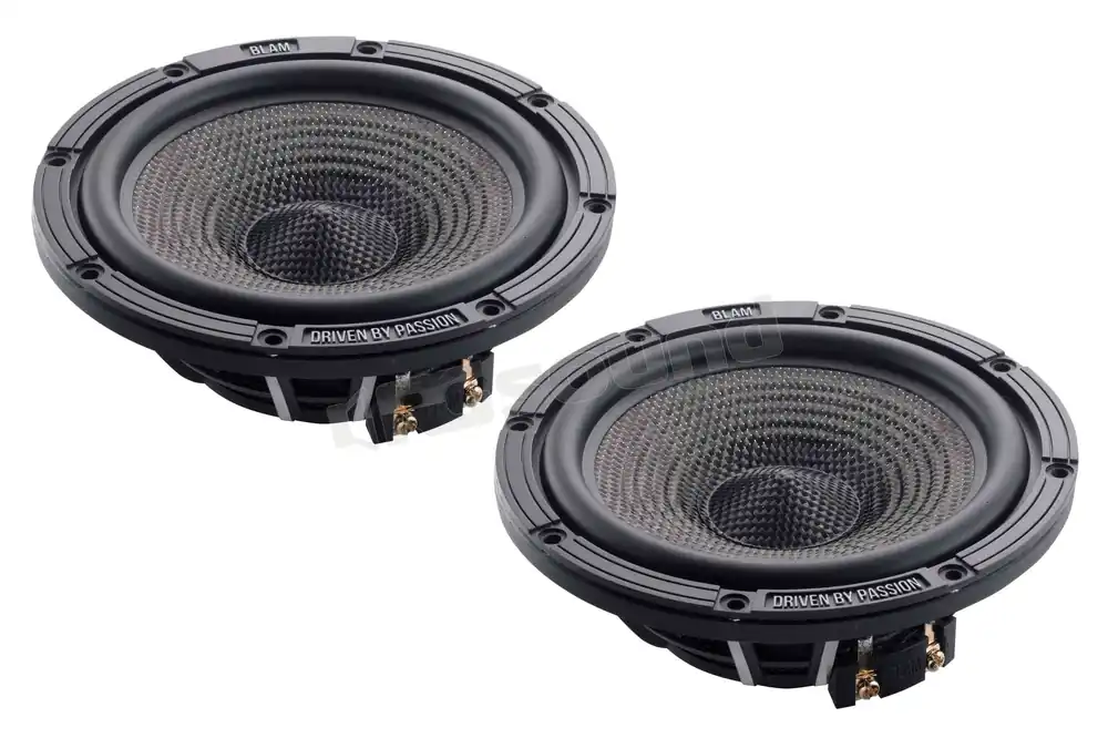 BLAM Woofer 165.45 Altoparlanti - Woofer e Midwoofer