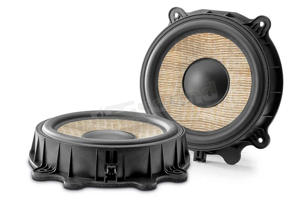Focal IW T3Y 200 woofer 20cm per Tesla Model 3 e Y Altoparlanti - Wo