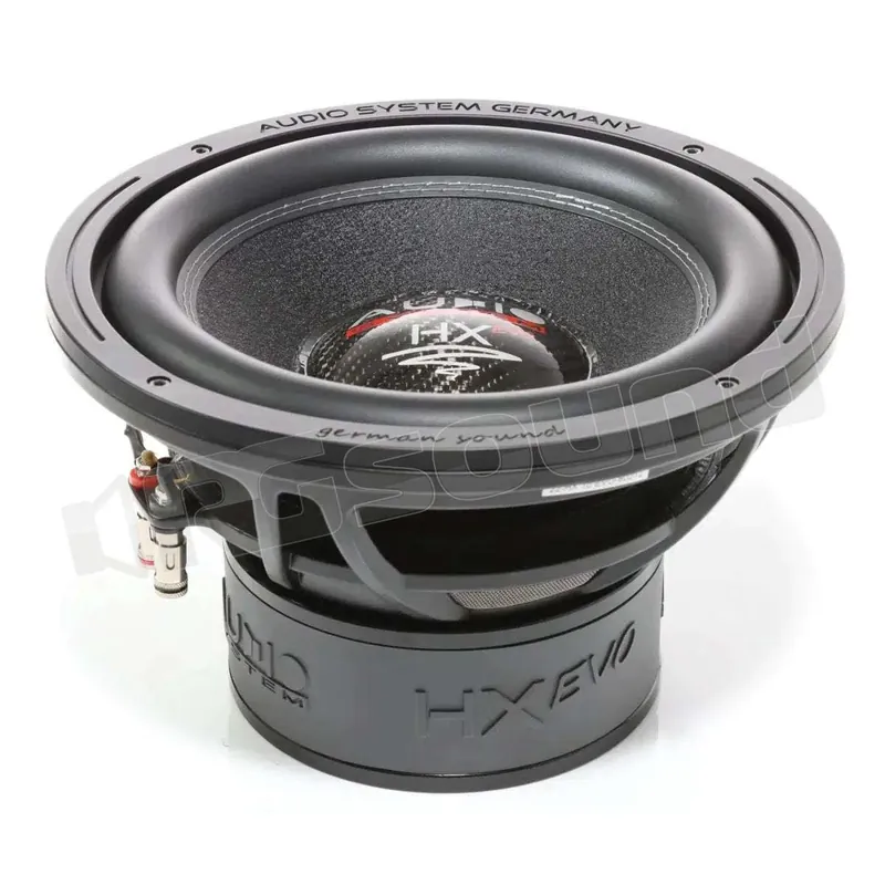 Audio System HX 10 EVO subwoofer 25cm doppia bobina 2 Ohm Subwoofer