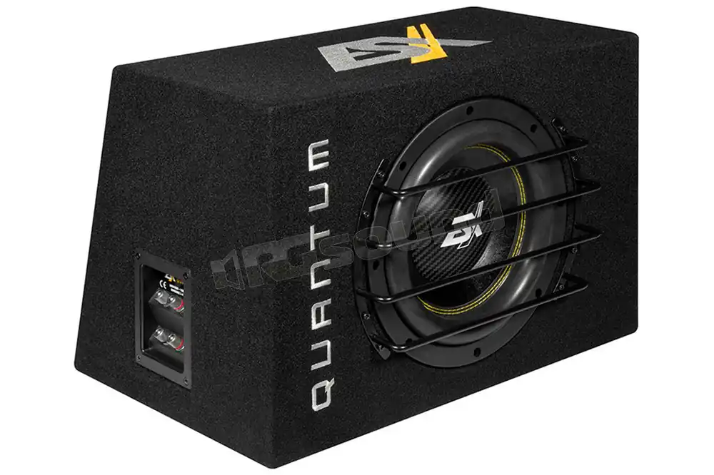 ESX QXB10 subwoofer 25cm in cassa bassreflex Subwoofer - Subwoofer i