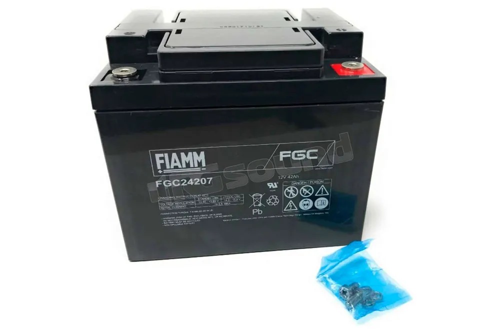Fiamm FGC24207 Batterie per avviamento e servizi - Batterie piombo