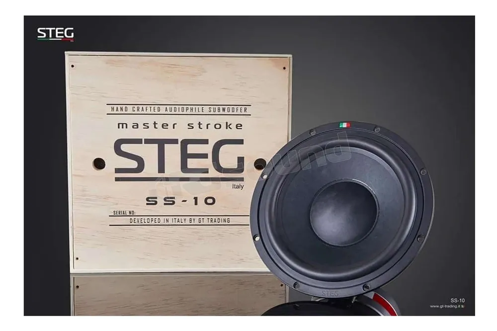Steg SS-10 subwoofer hi-end 25 cm Subwoofer - Subwoofer