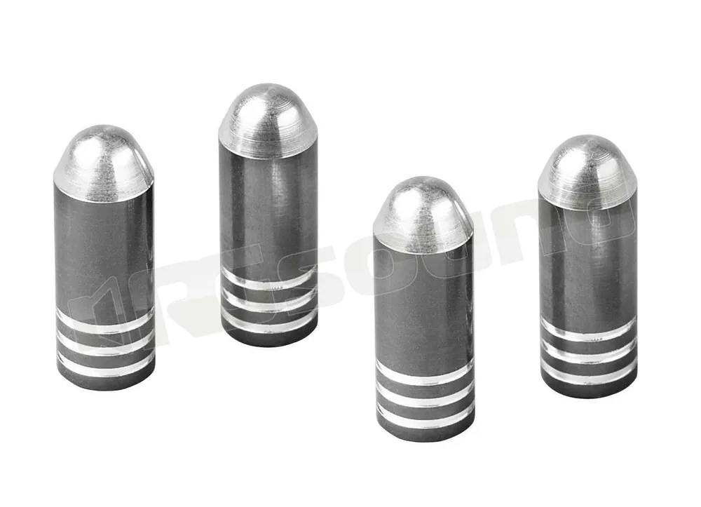 Pilot 02496 Set 4 tappi coprivalvola in lega di alluminio bicolore E