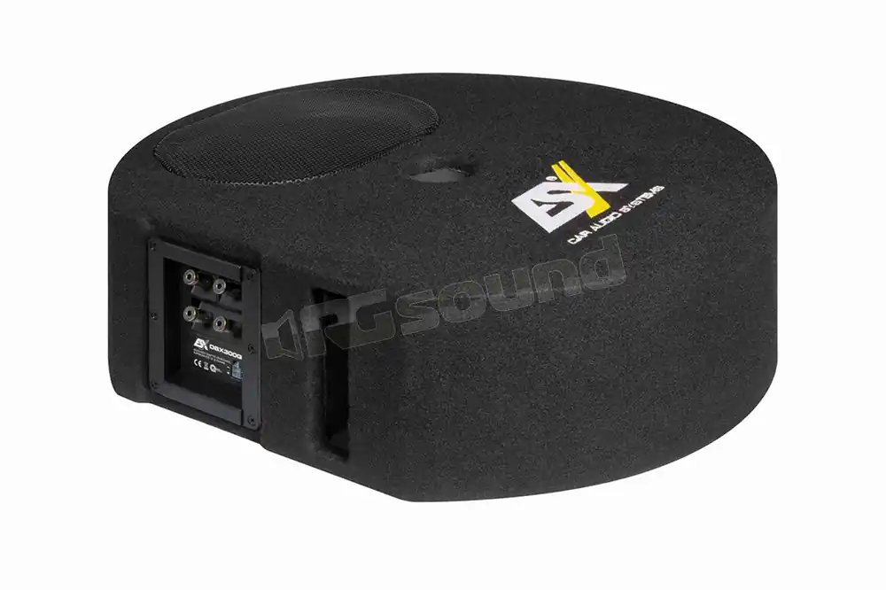 ESX DBX300Q sistema bassreflex per vano ruota di scorta Subwoofer -