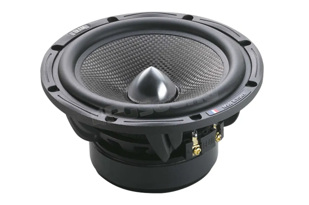 BLAM WS 6.100 woofer 165 mm Altoparlanti - Woofer e Midwoofer