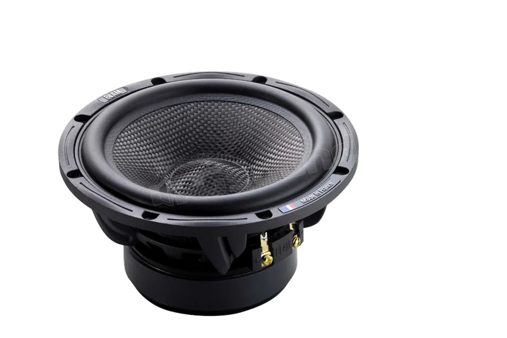 BLAM WS6.300 woofer 165 mm Altoparlanti - Woofer e Midwoofer
